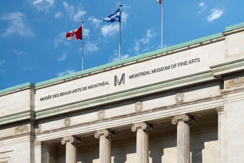 Brand Identity