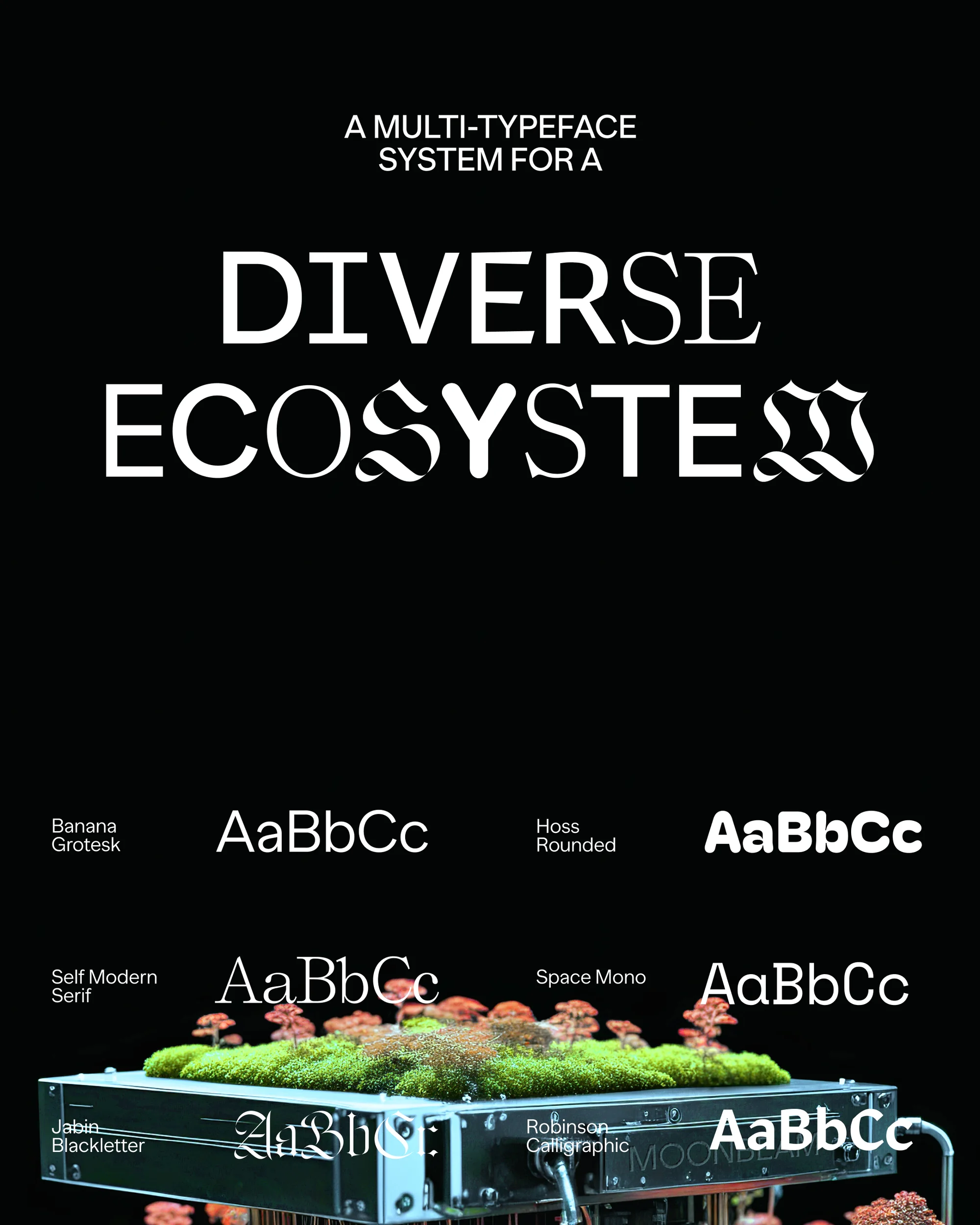 Graphic design promoting diverse typeface system with text examples, moss, and typography. Ideal for typography and graphic design.