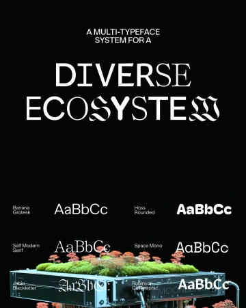 Graphic design promoting diverse typeface system with text examples, moss, and typography. Ideal for typography and graphic design.