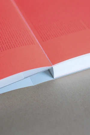 Brand Identity
