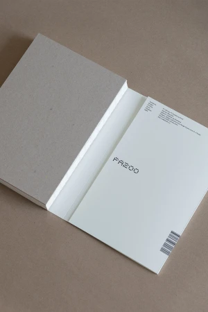 Brand Identity