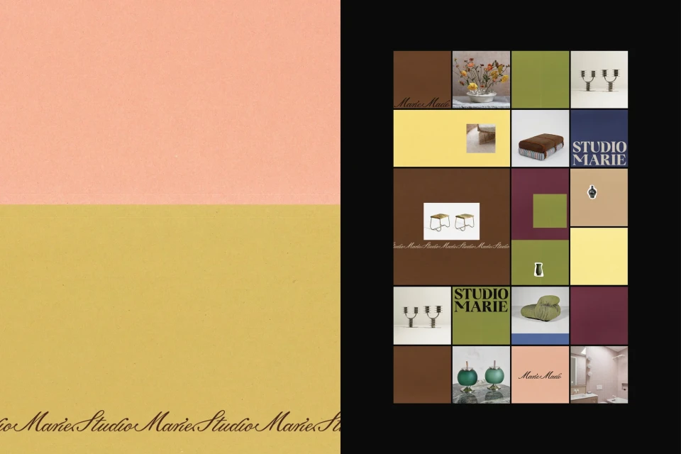 Brand Identity