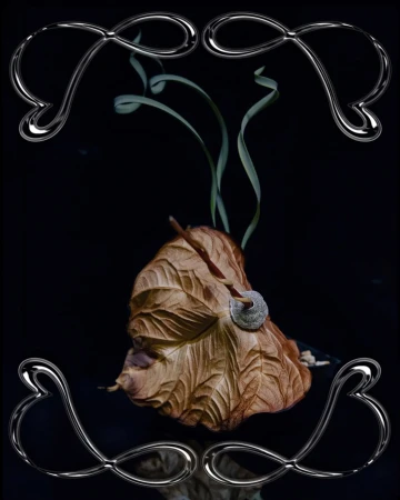 Studio shot of a brown leaf adorned with foliage, set against a dark background and framed by a decorative chrome border.