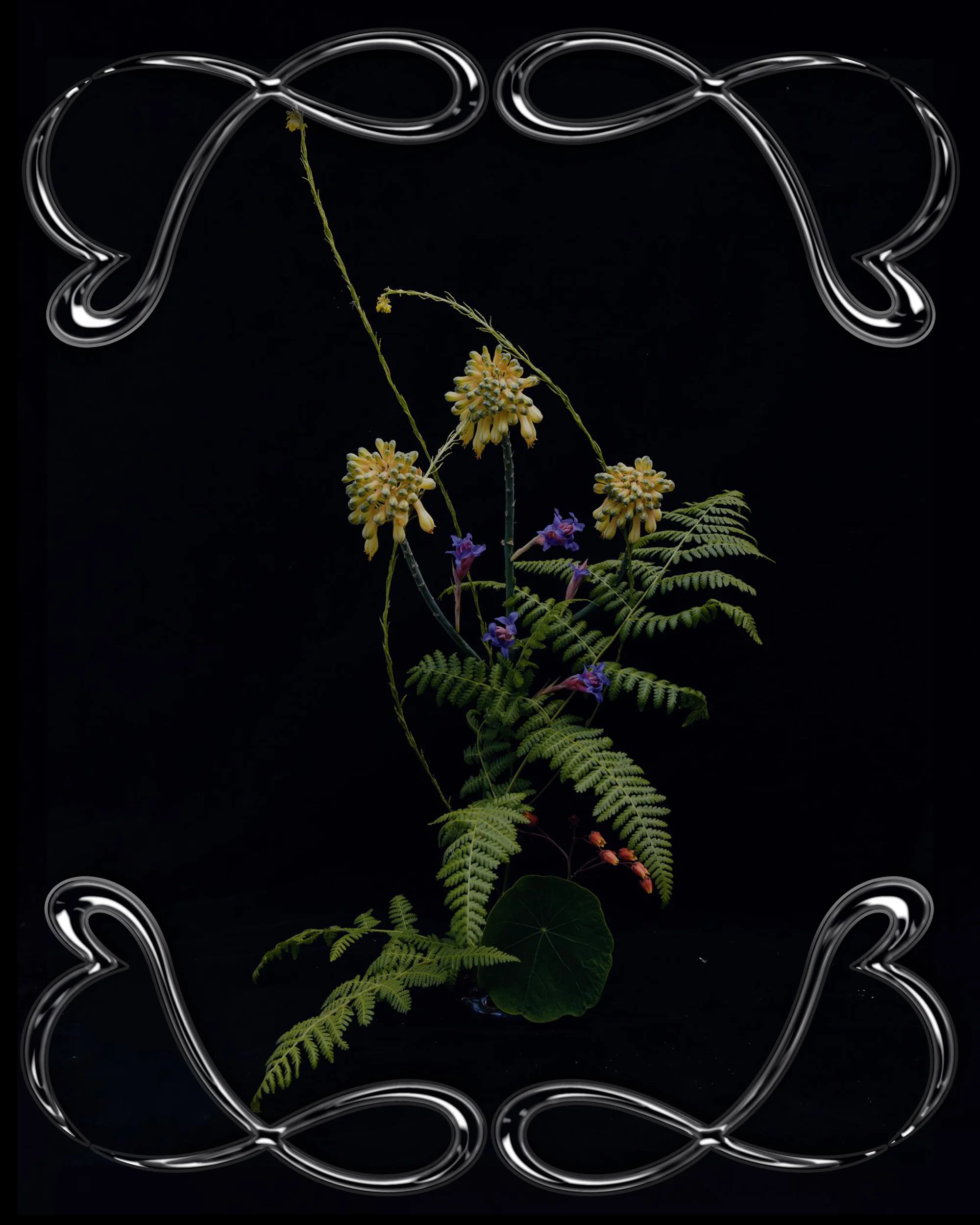 Floral arrangement featuring yellow and purple flowers with green ferns against a black background, framed by silver abstract designs.