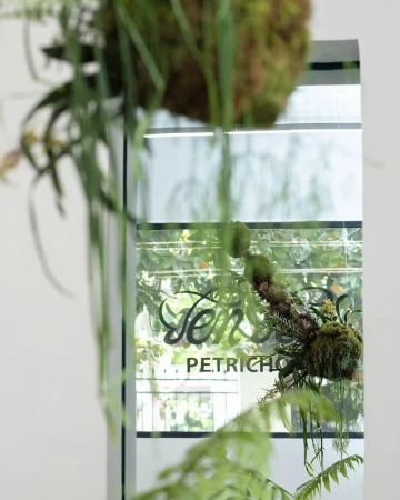 Indoor floral arrangement with moss balls and hanging green plants near a store window with a business logo in a bright, minimalist space.