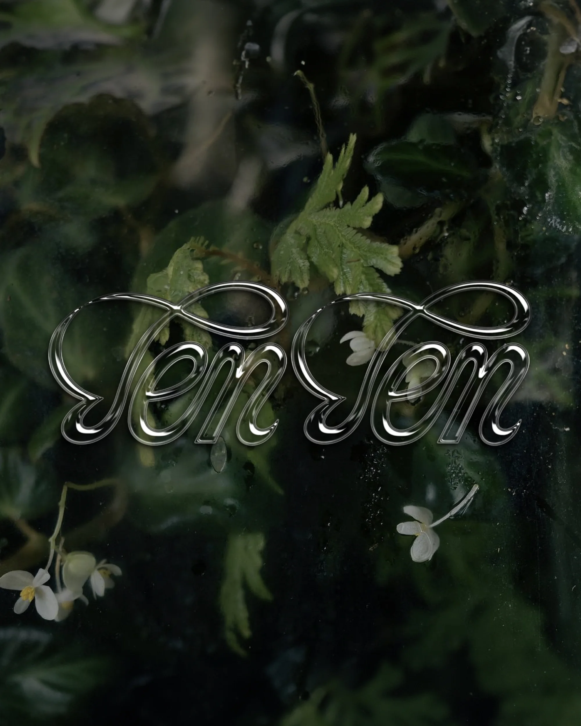 Elegant 'Ten Ten' typography with a chrome finish, set against a lush green plant background with delicate white flowers and foliage.