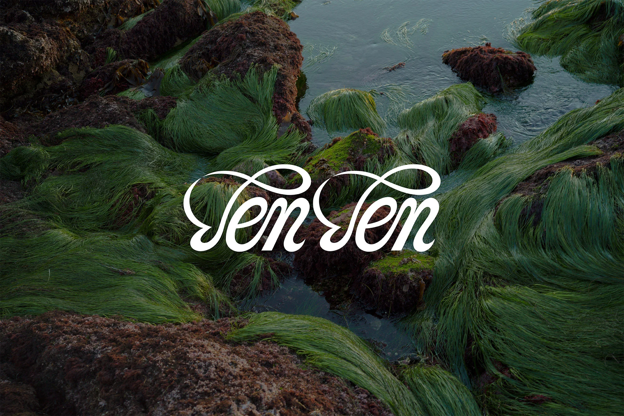 Mossy rocks and seaweed in a tidal pool setting, featuring decorative text overlay 'Ten Ten'. Nature scene with marine elements.