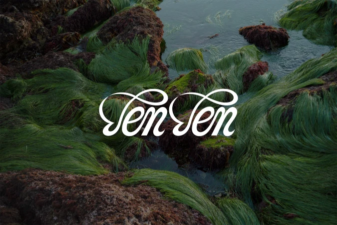 Mossy rocks and seaweed in a tidal pool setting, featuring decorative text overlay 'Ten Ten'. Nature scene with marine elements.