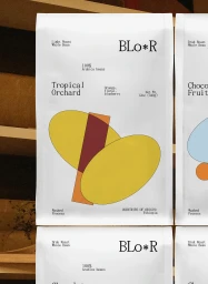 White coffee bag packaging with minimal typographic design and abstract yellow and red geometric shapes on wooden shelves