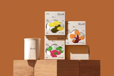 Product packaging and coffee boxes for COOOT Studio featuring abstract tree illustrations against a warm terracotta background