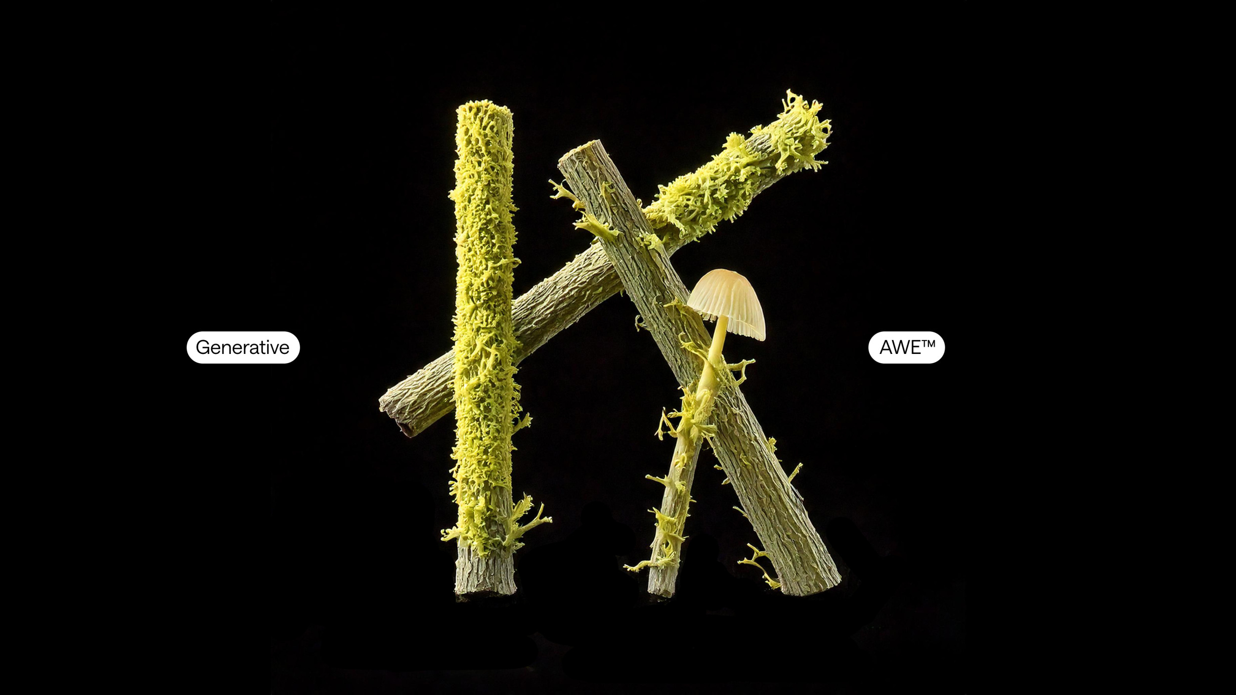 Moss covered branches forming letter K with mushroom in the center on a black background; nature-inspired design element.