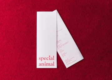 Two tall folded white paper brochures featuring red typography resting flat on a textured deep red surface.