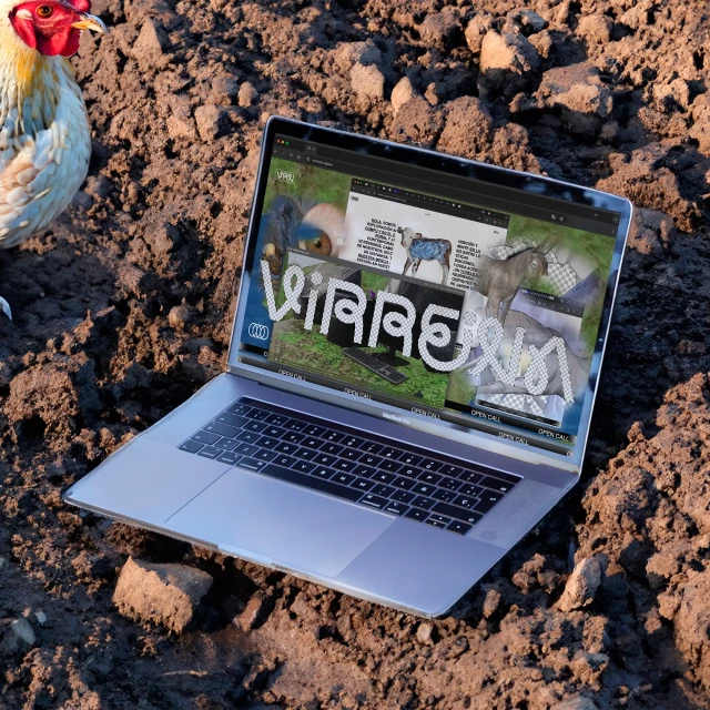 Laptop displays Visie website on soil outdoors near chicken, bathed in sunlight. Technology meets nature with creative directory.