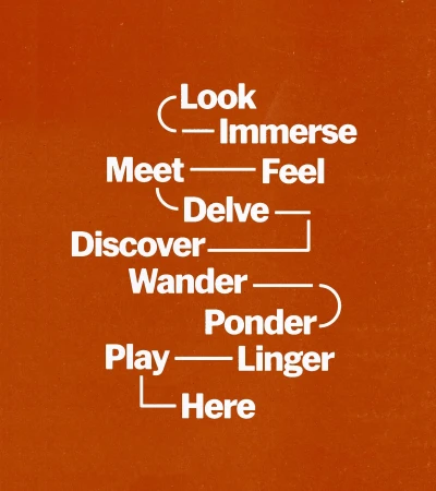 Graphical illustration with white text phrases 'Look, Immerse, Meet, Feel, Delve, Discover, Wander, Ponder, Play, Linger, Here' on a brown background.