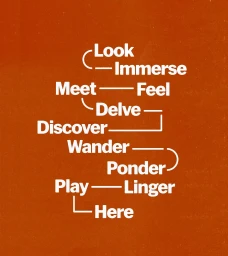 White sans-serif typographic flow chart connected by curved white lines against a textured orange background.