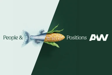 Graphic design brand identity featuring a split image of a metallic fish tail and a corncob on dual tone backgrounds