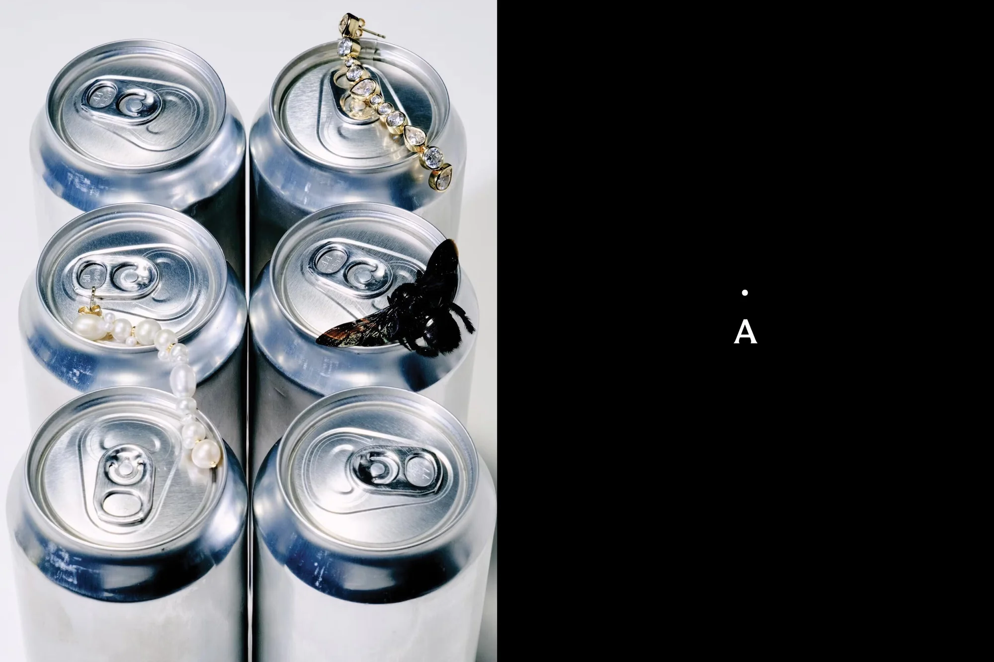 Arrangement of six aluminum cans topped with jewelry and a bug on a white surface with a black background element. Studio shot.