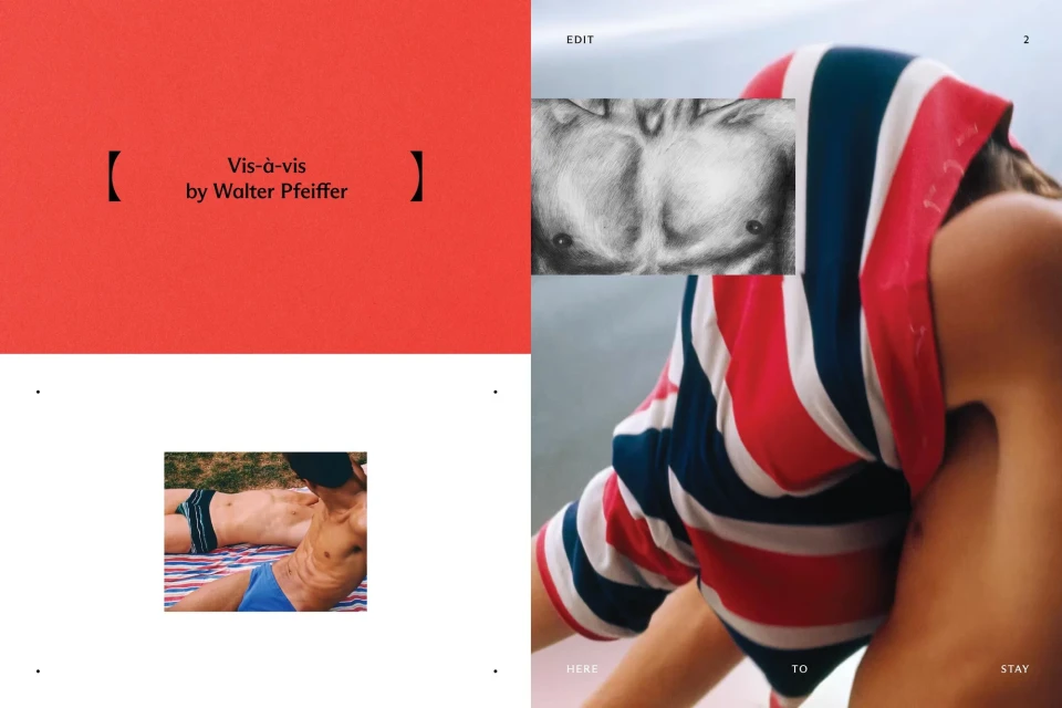 Vis-à-vis book cover features male torso, British flag hooded figure, and tanned men, with red and white color blocks.