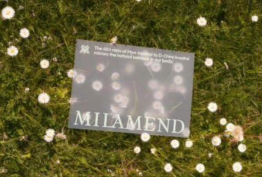 Milamend brand identity card featuring product typography laid over a lush green meadow filled with white daisies