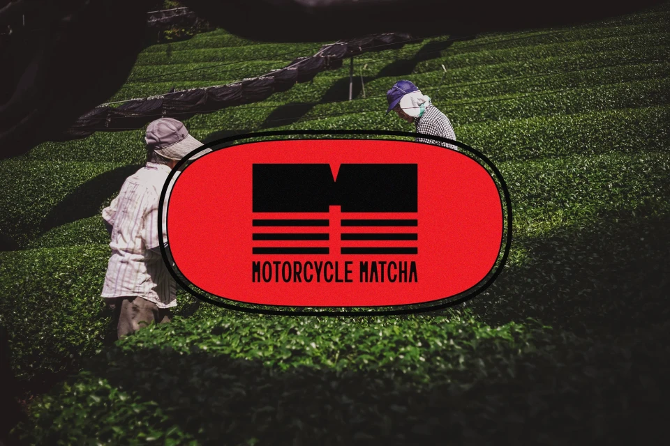 Brand Identity