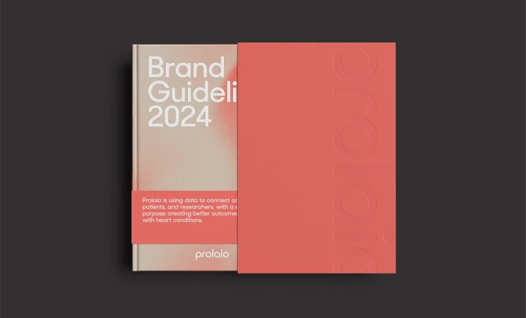 Brand guidelines mockup featuring a hardcover book with the title 'Brand Guideline 2024' and a coral sleeve, set against a dark gray background.