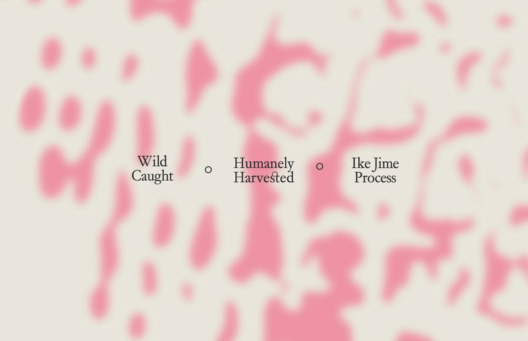 Abstract food and beverage ad background with typography displaying messages about the Ike Jime process and wild caught ingredients.