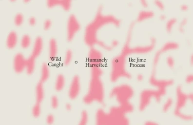 Seremoni brand identity graphic with pink organic patterns and text reading Wild Caught, Humanely Harvested, and Ike Jime Process.