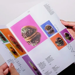 Hands holding open a colorful restaurant menu featuring food photography of bao buns and graphic typography.