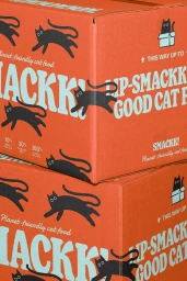 Stacked orange cardboard pet food boxes branded with playful black cat illustrations and bold turquoise typography.