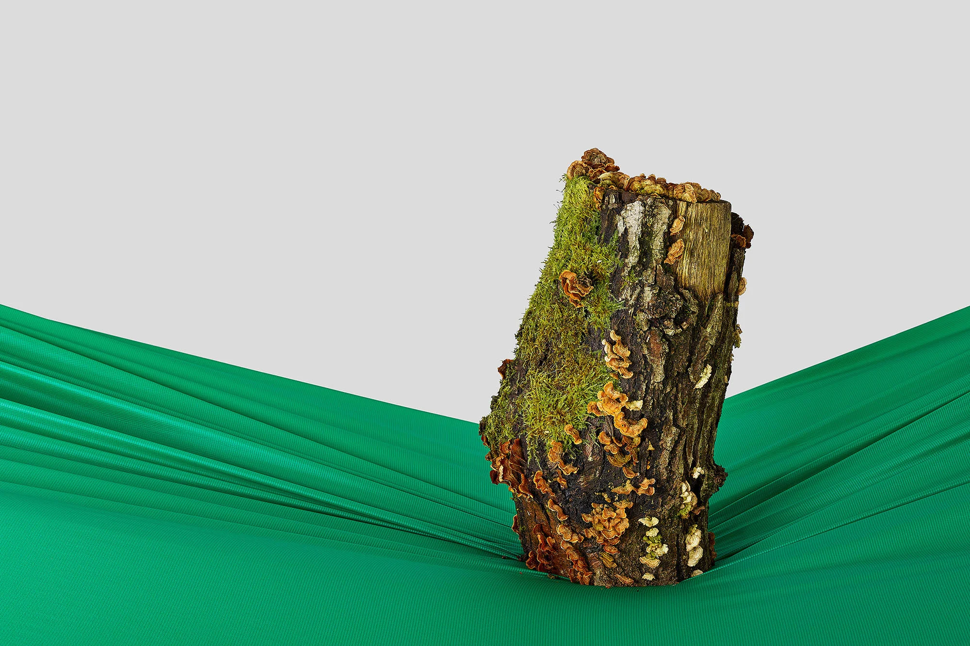 A tree stump covered in moss and fungi is placed on green draped fabric against a pale gray background. Studio setting.