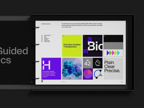 Presentation of graphic design elements in an open binder with brand logo, typeface, and color palette examples on a gray background.