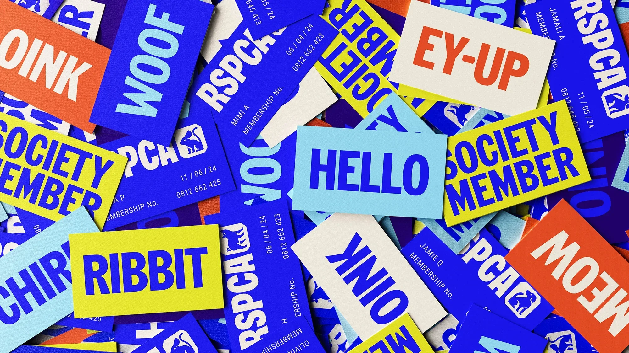 Close-up of colorful cards with playful text like 'Woof,' 'Meow,' and 'Hello' in a variety of colors including blue, yellow, and orange.