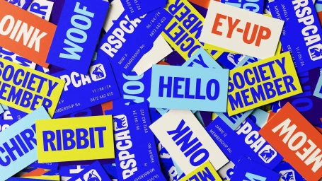 A flat lay composition of colorful RSPCA membership cards and badges featuring bold typography and animal graphics.
