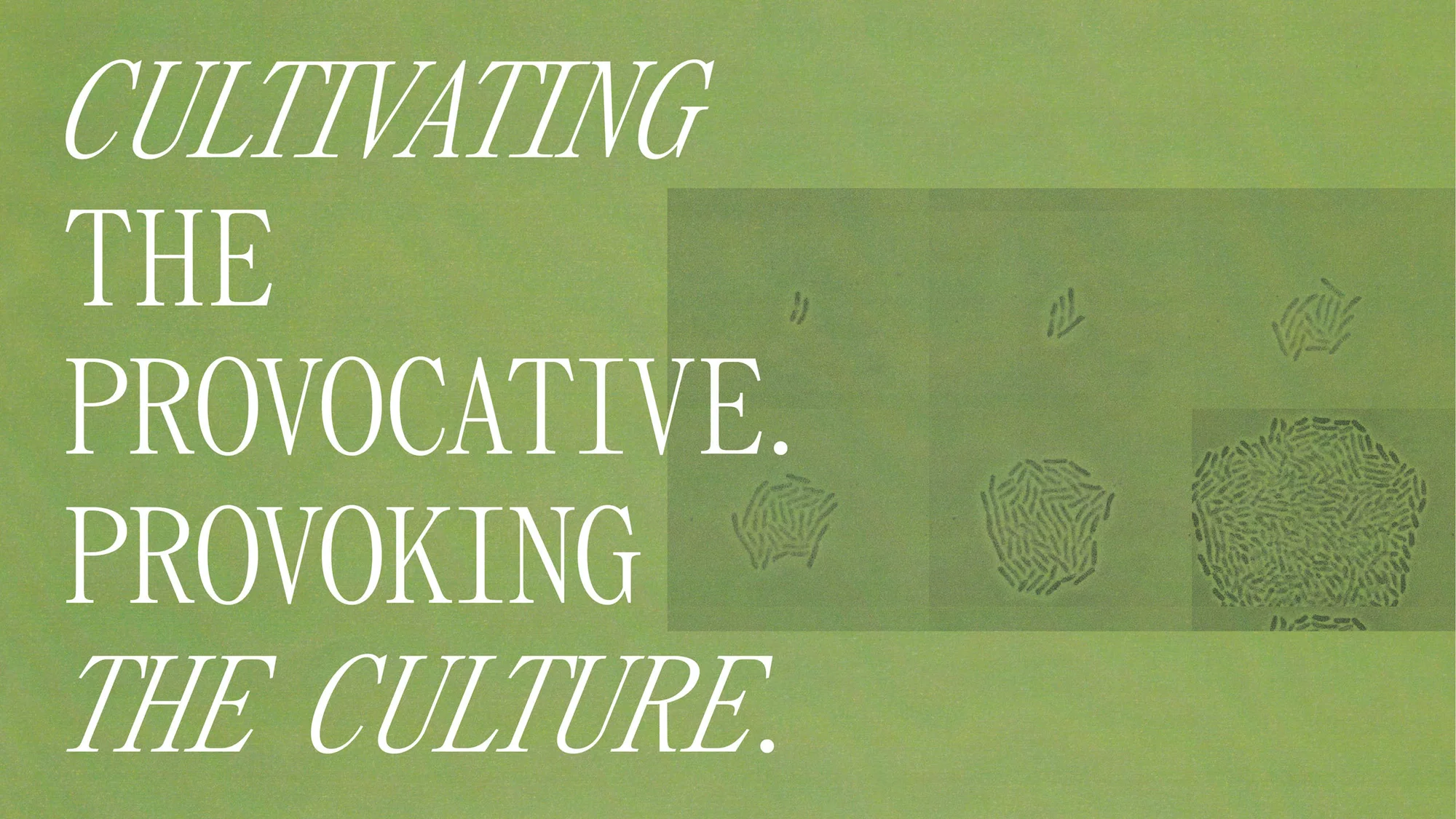 Green background with white text, including 'CULTIVATING THE PROVOCATIVE. PROVOKING THE CULTURE,' alongside microscopic lifeforms.
