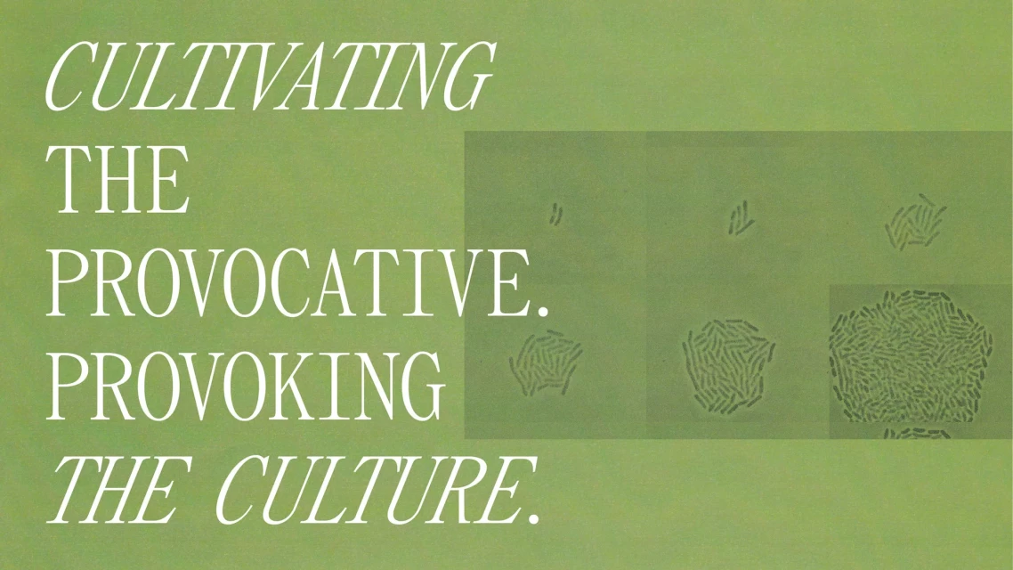 Brand Identity