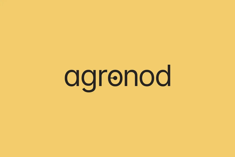 Brand Identity