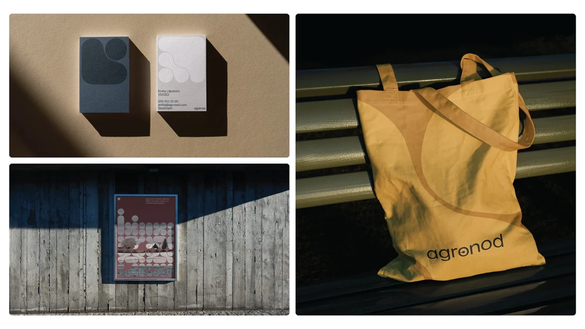 Brand Identity