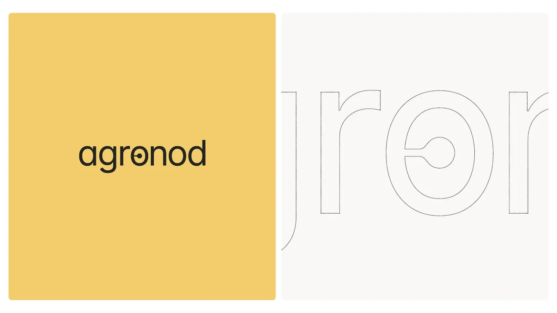 Brand Identity
