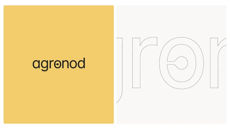 Brand Identity