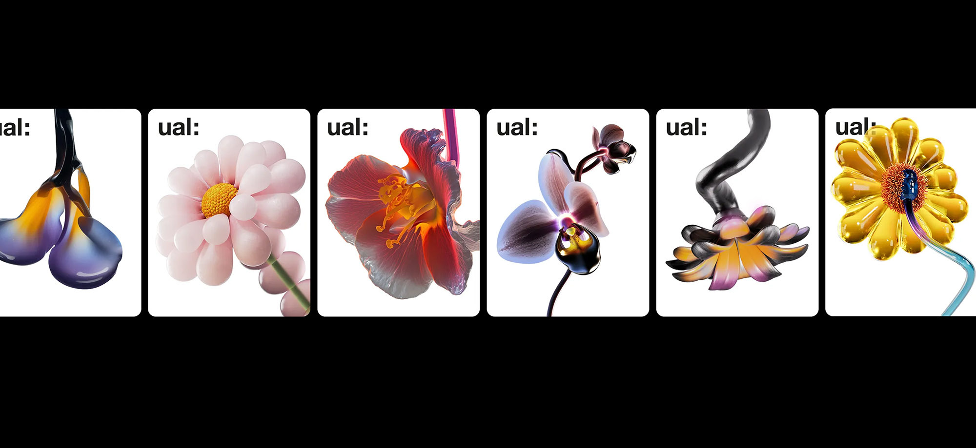 Creative image showcasing six flowers in different shapes and colors. Each flower is isolated on a white background.