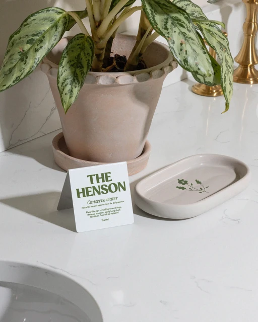 Indoor still life featuring a potted plant, small ceramic tray with a floral design, and a white card with text on a white countertop.