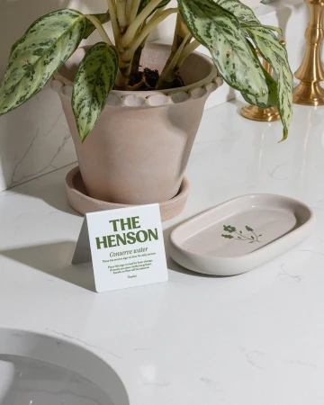 Indoor still life featuring a potted plant, small ceramic tray with a floral design, and a white card with text on a white countertop.
