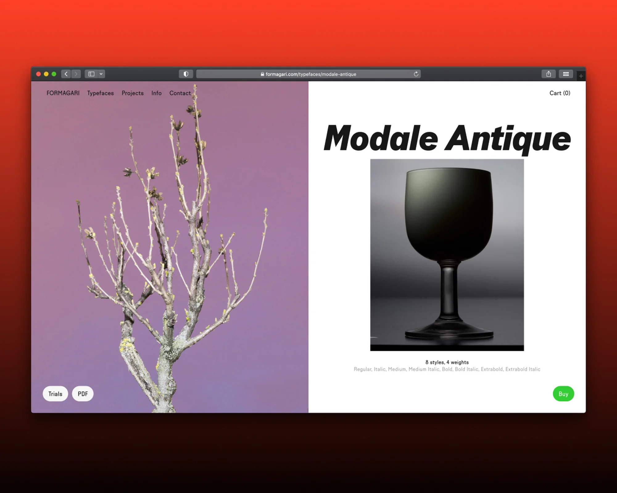 Website design featuring Modale Antique typeface with tree branches and a black wine glass against split-tone purple and white background.