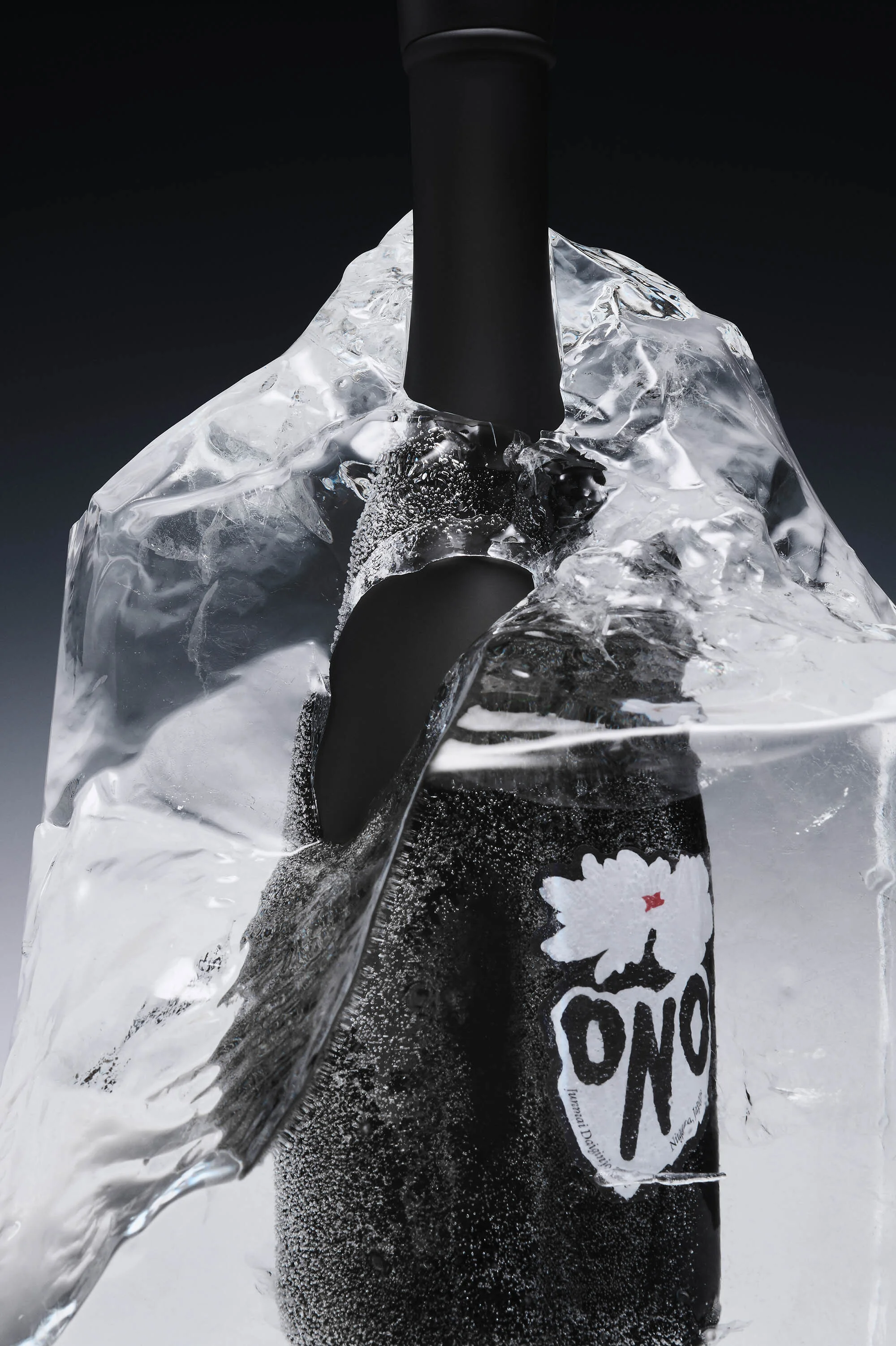Black bottle encased in ice, showing logo details, set against a dark gradient background. Studio shot with focus on product presentation.