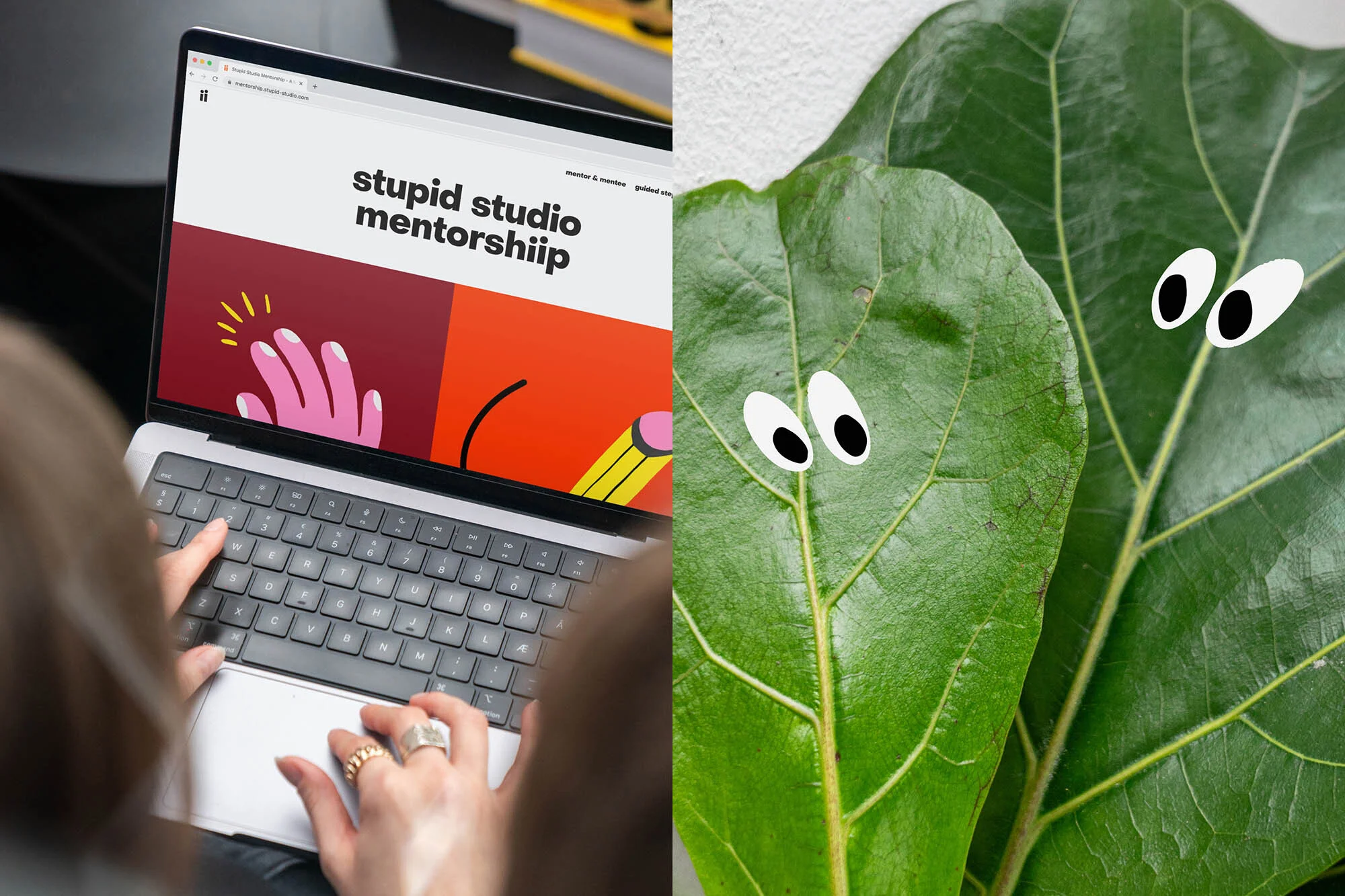 Person types on a laptop computer keyboard in an indoor setting, next to a large-leaf plant with googly eyes attached to the leaves.
