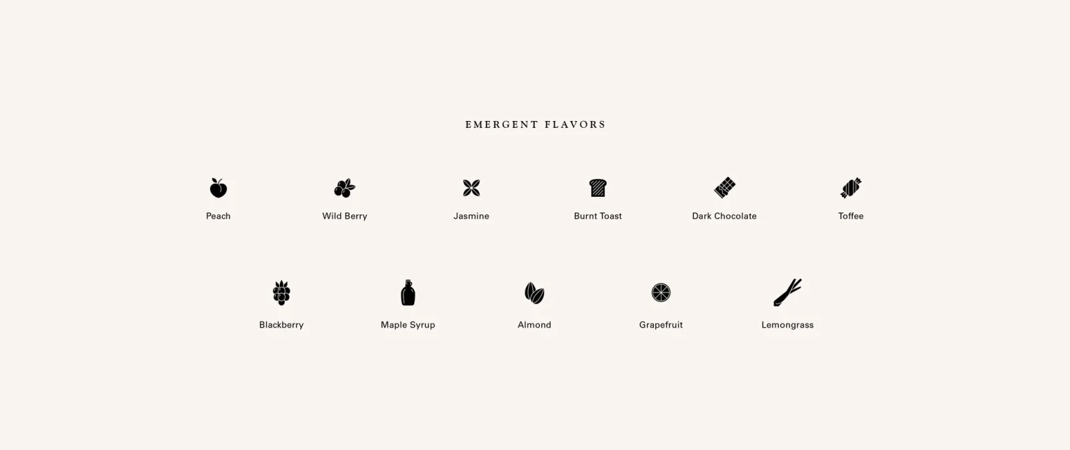 Brand Identity