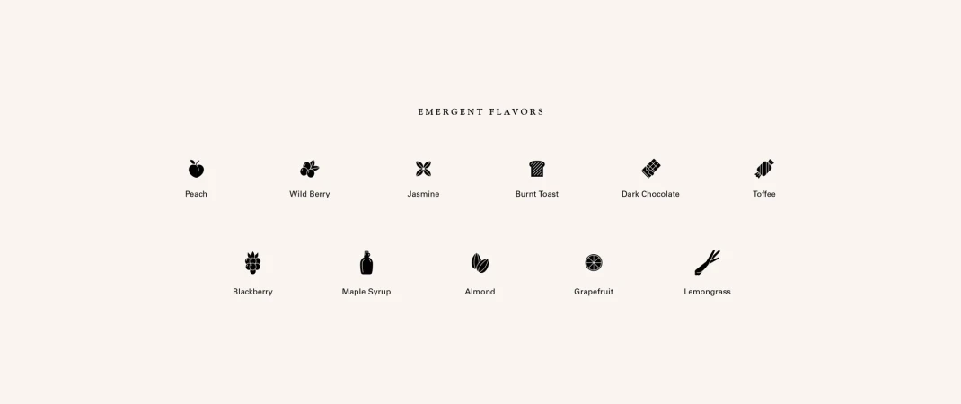 Graphic showing emergent flavors: peach, wild berry, jasmine, burnt toast, dark chocolate, toffee, blackberry, maple syrup, almond, grapefruit, lemongrass.