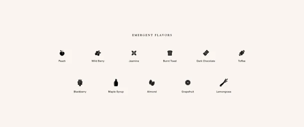 Minimalist graphic brand identity display featuring black flavor icons and text on a pale cream background.