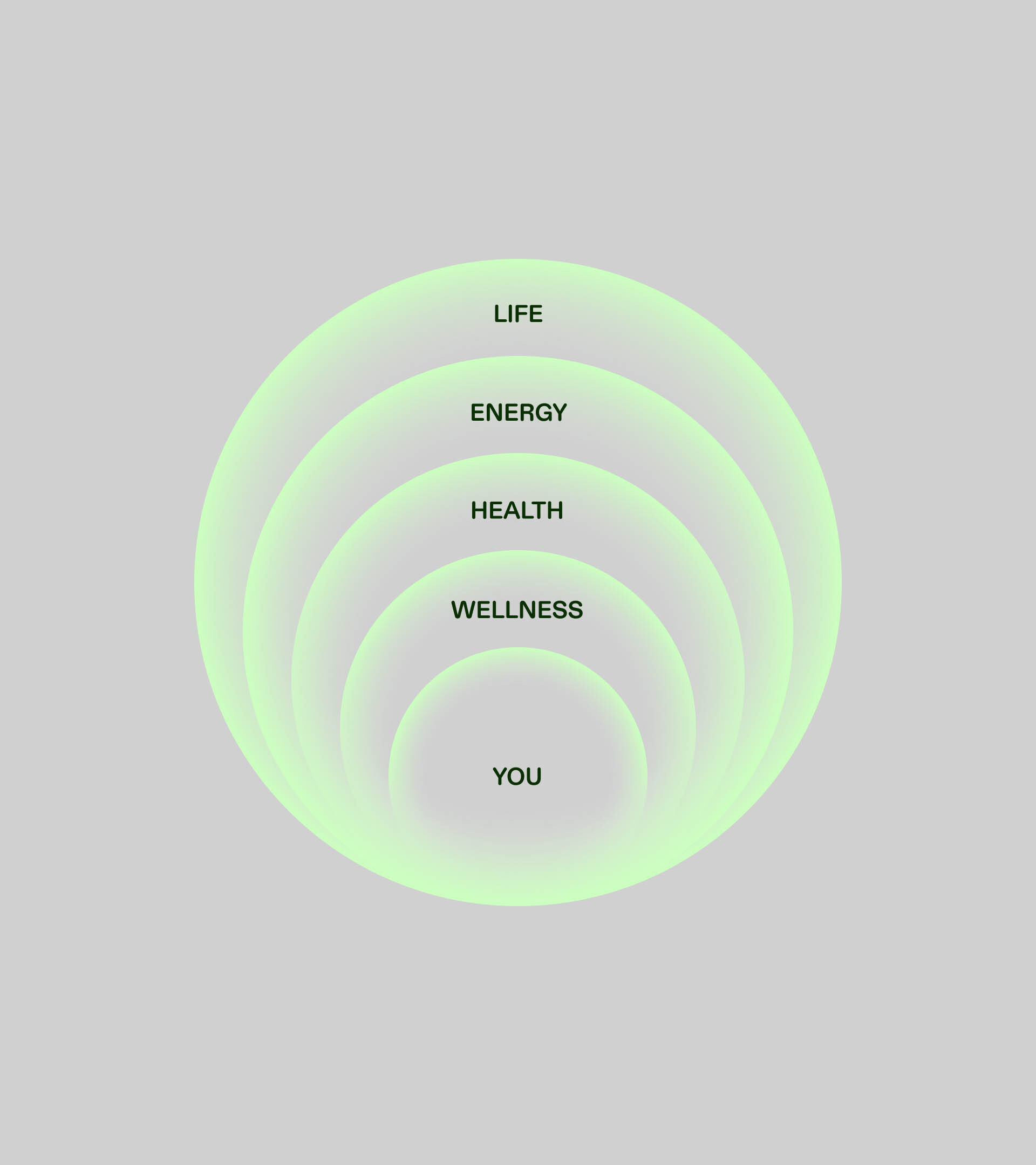 Concentric circles diagram with text labels: Life, Energy, Health, Wellness, and You, on a gray background. Minimalist design.
