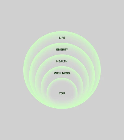 Concentric circles diagram with text labels: Life, Energy, Health, Wellness, and You, on a gray background. Minimalist design.
